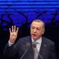 Erdogan said peace efforts  after the January ceasefire 'should not be sacrificed to the ambitions of blood and chaos merchants'