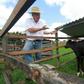 Farmer Jose Gabriel Roca shows a calf at his dairy farm El Naranjal, Santa Cruz on November 21