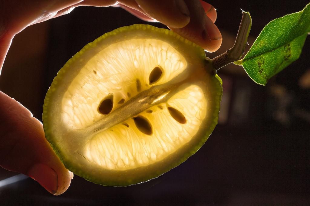 Transparent lemon slice