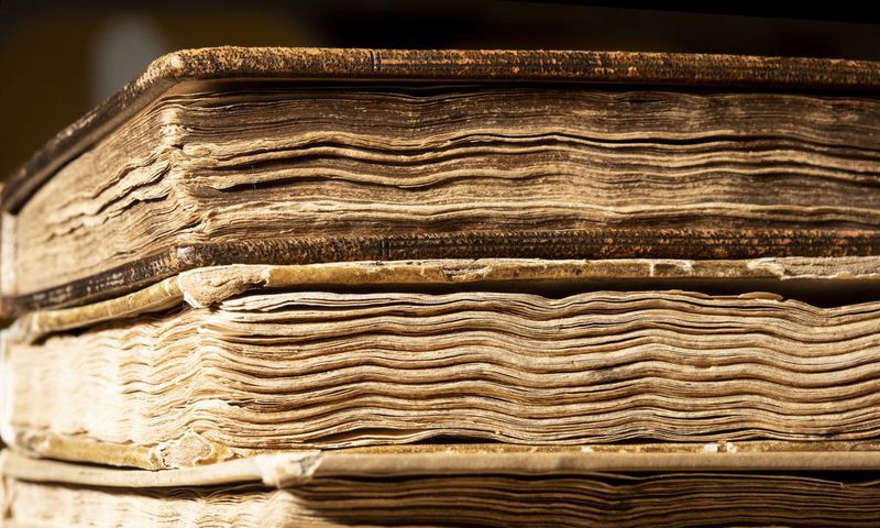The Academic Apocalypse