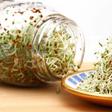Dr. Pimple Popper Pops 'Alfalfa Sprout' Blackhead