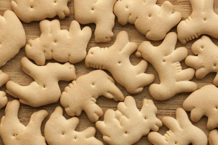 Dr. P Just Tackled 'Animal Cracker' Lipomas