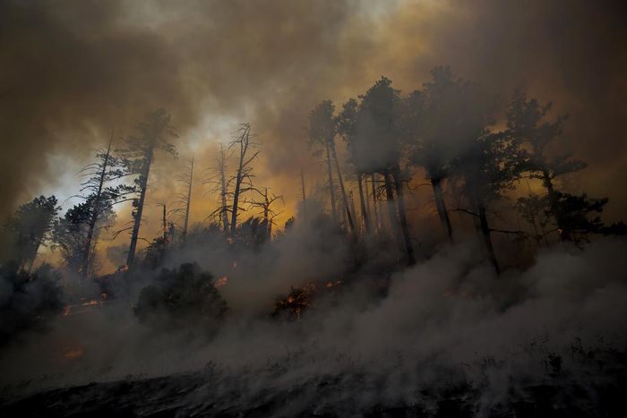 Despair for Many and Silver Linings for Some in California Wildfires