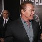 Schwarzenegger and Stallone Resume Their Troll War