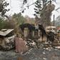 Bushfires have brought destruction to millions of hectares of Australia this summer