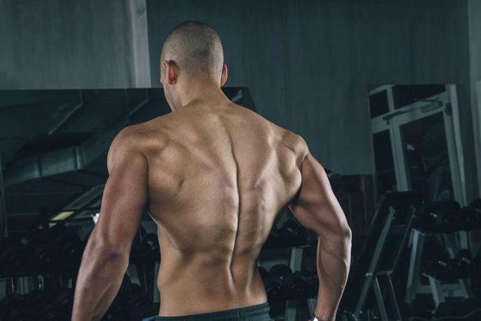 How to Handle Scapular Winging