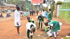 Kenya Institute of Curriculum Development (KICD) flags 2 areas of CBC misinterpreted by teachers making it expensive for parents