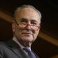 Senate Democratic Minority Leader Chuck Schumer says that President Donald Trump's expected acquittal in his impeachment trial will be "meaningless" because crucial witnesses and documents were never subpoenaed