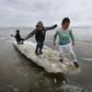 Four blockbuster reports from the United Nations over the last year have made it inescapably clear that the window of opportunity for avoiding serious blowback from our meddling with Earth's climate system has slammed shut