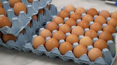 Eggs