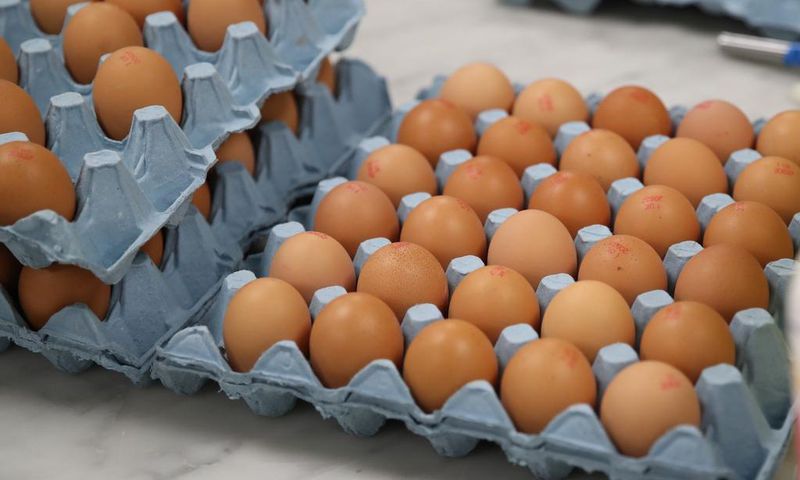 Eggs