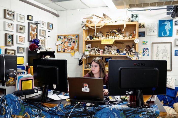 Marine Labs on the Water's Edge Are Threatened by Climate Change