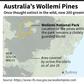 Wollemi National Park in Australia, where pine trees threatened by wildfires have been saved by a protection scheme