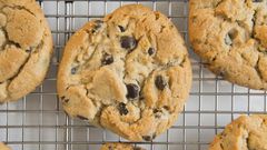 Dr. Pimple Popper Pops Blackhead