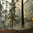 Thousands of firefighters were preparing for the worst with temperatures expected to soar