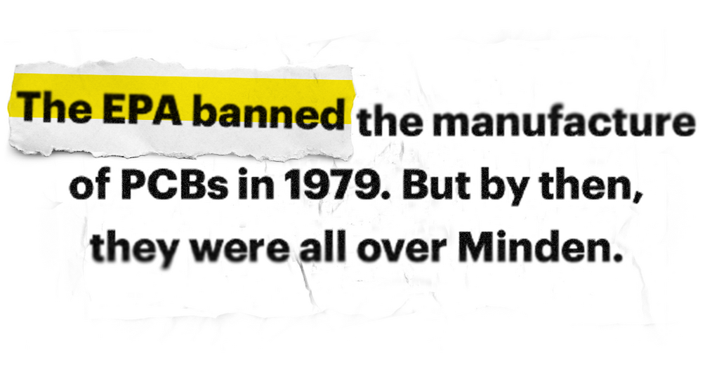 Life and Death on Contaminated Land