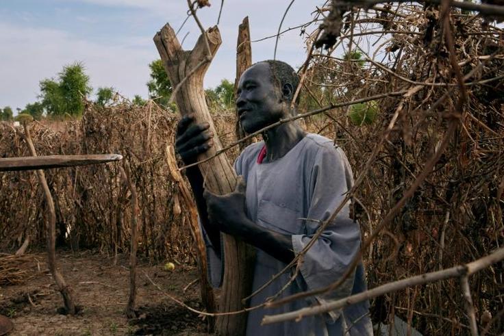 Residents of the camp are searching for wood to rebuild their homes