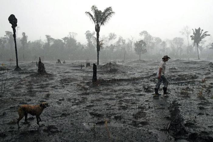 Brazilian farmer Helio Lombardo Do Santos and a dog walk through a burnt area of the Amazon rainforest, near Porto Velho, Rondonia state, Brazil, on August 26, 2019