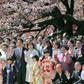 Japan's publicly funded cherry blossom party is intended to honour the great and the good for their achievements