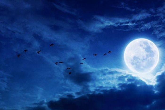 What The Full Moon In Taurus Means For Your Sign