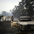 The fires have claimed 28 lives and killed an estimated billion animals