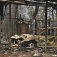 Large parts of Australia have been ravaged by bushfires