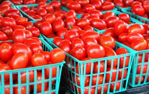 Freshly picked tomatoes (Wowplus)