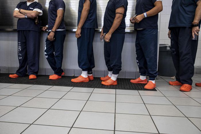 Promises Aside, Deportations Under Trump Dropped This Year