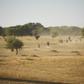Burkina Faso soldiers patrol a rural area in the country's north in November 2019