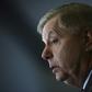Close Trump confidant Senator Lindsey Graham praised the 'resolve and strength' of the strike on Soulemaini