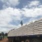 Truck carrying sacks of maize