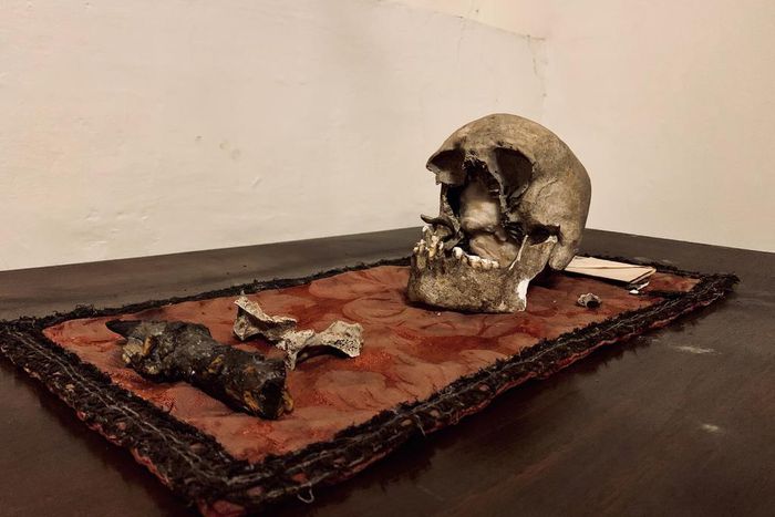 Here Lies the Skull of Pliny the Elder, Maybe