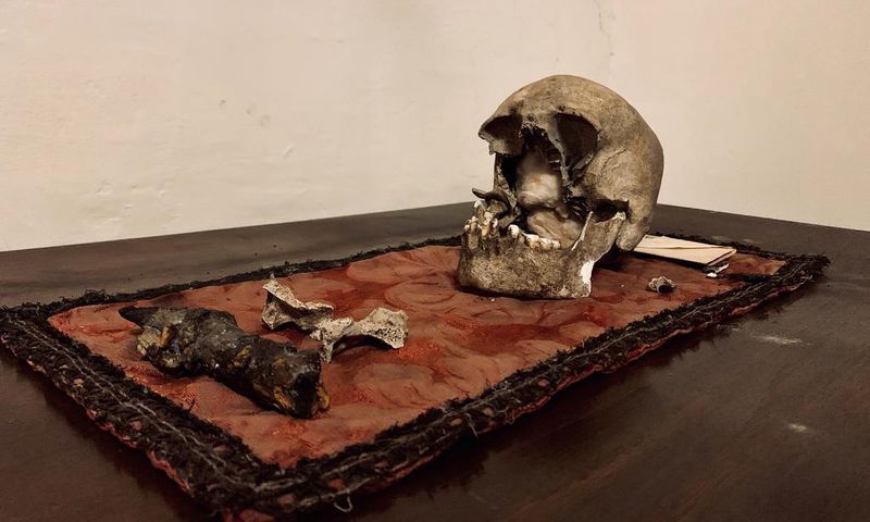 Here Lies the Skull of Pliny the Elder, Maybe