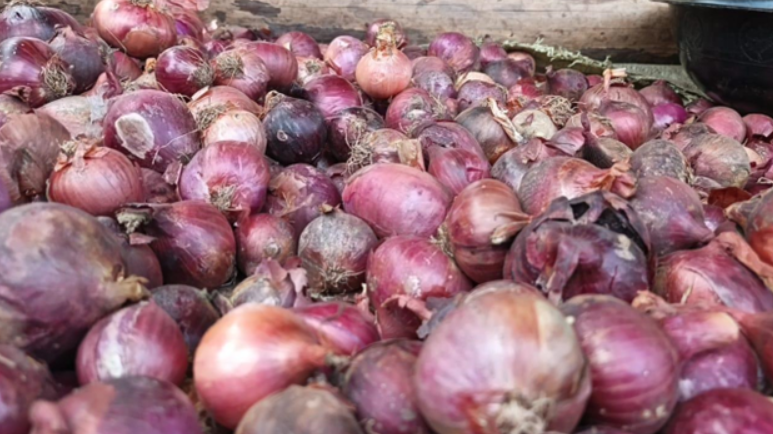 Bulbs of onion on display at Busia market in Kenya. The onions are among the nutritious foodstuffs sold by Ugandan migrants | Photo by Faith Matete