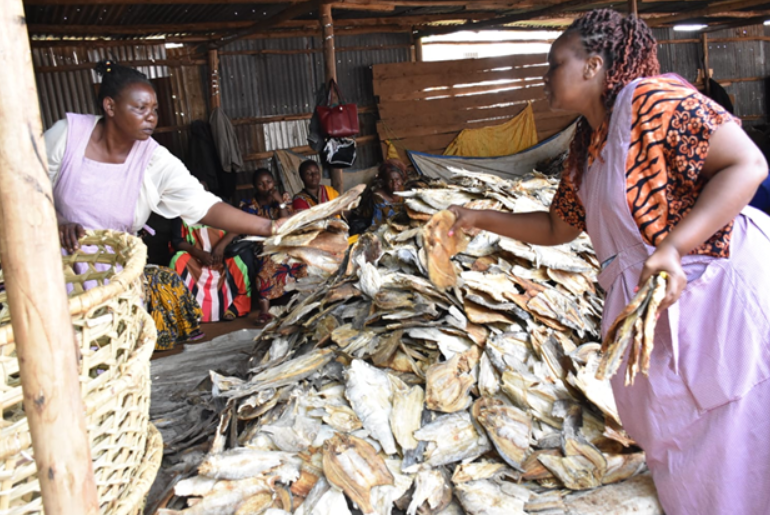 Ugandan traders sorts out dried fish at the Busia fish market. The fish forms part of the nutritious foods that have transformed Busia border into a vibrant economy | Photo by Faith Matete