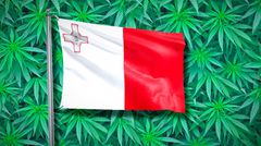 Malta legalised recreational cannabis for personal use, allowing formation of cannabis clubs, monitored by the Authority for Responsible Use of Cannabis