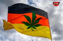 Germany's Cannabis Act legalizes possession by adults of up to 25 grams (nearly 1 ounce) of marijuana and allows individuals to grow up to three plants on their own