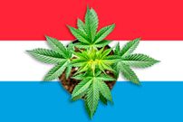 Luxembourg legalised the private cultivation and consumption of cannabis on July 21, 2023