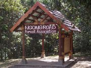 Ngong Forest