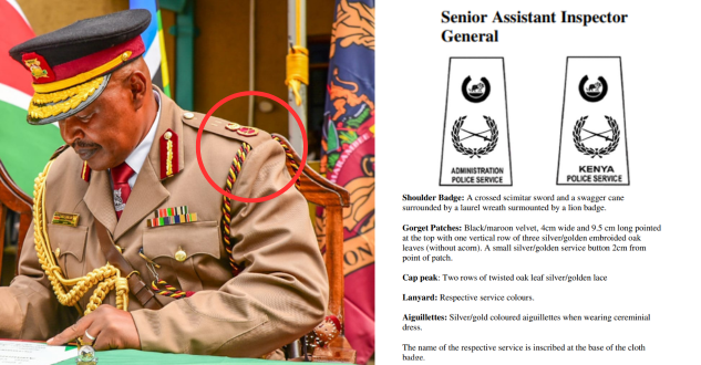 Senior Assistant Inspector General