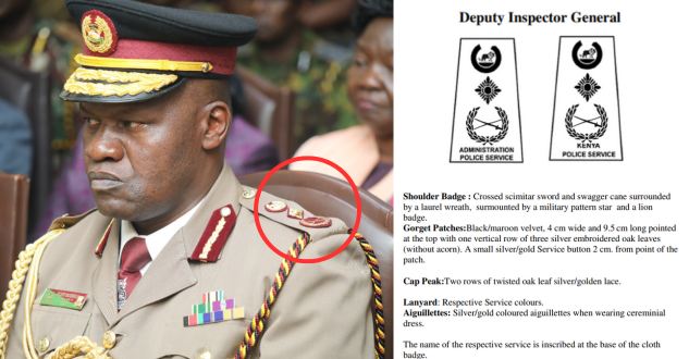 Deputy Inspector General