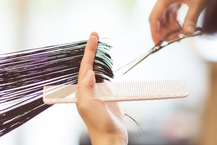 When Can I Get A Haircut During Novel Coronavirus?