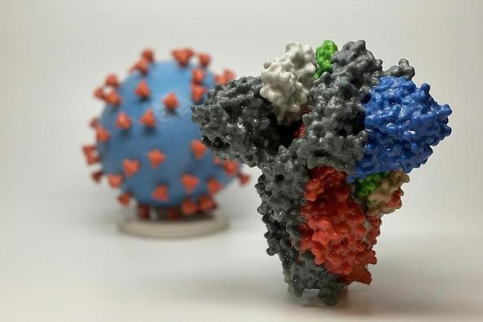 A 3D print of a spike protein of SARS-CoV-2, the virus that causes COVID-19 -- in front of a 3D print of a SARS-CoV-2 virus particle