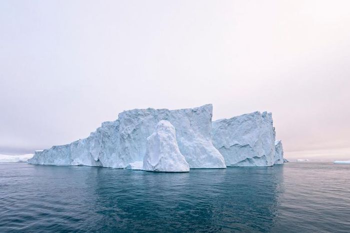 Dr. Pimple Popper Pops A Cyst-DPOW Hybrid