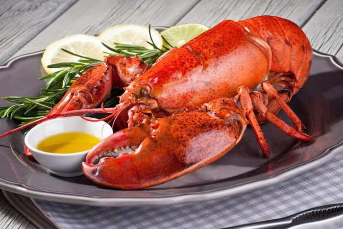 Watch Dr. P Extract A 'Lobster Tail' Lipoma