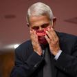 Anthony Fauci heads America's National Institute of Allergy and Infectious Diseases