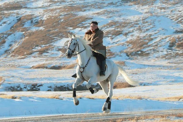 North Korea has been ruled by members of the same family since its foundation in 1948