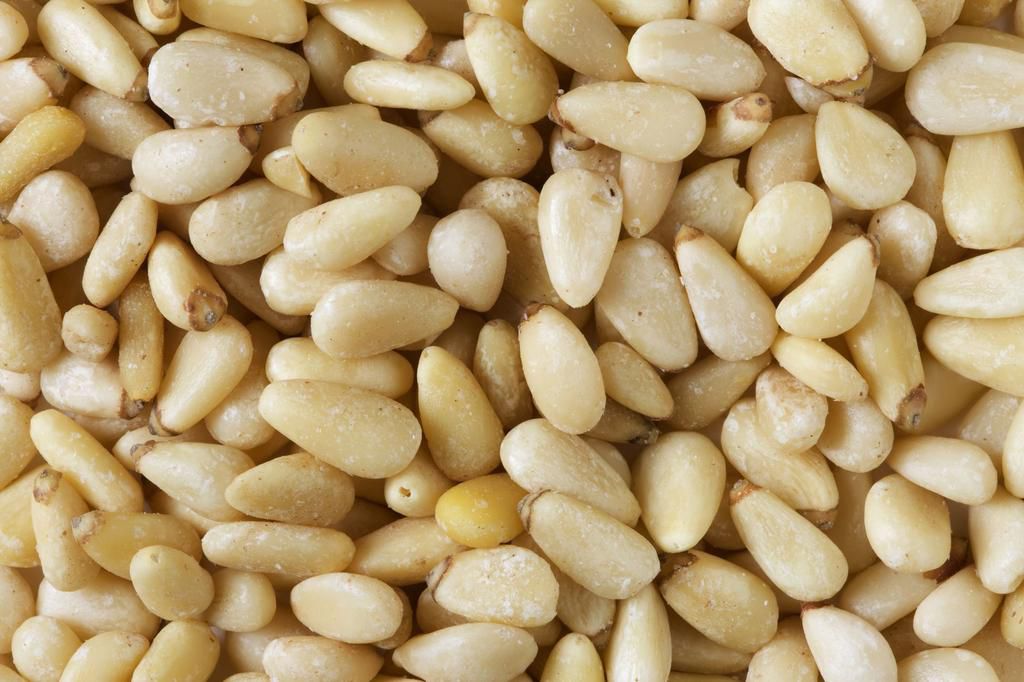 Pine Nuts Background