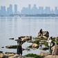 In one entry in her 'Wuhan Diary', Fang Fang wrote about seeing pictures of the city's East Lake