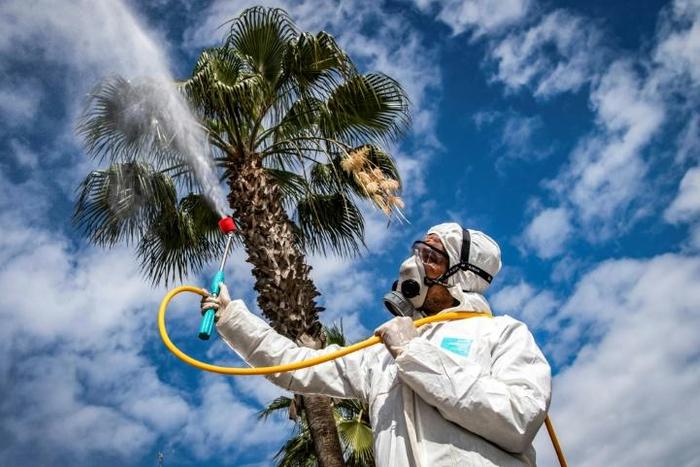 A Moroccan health ministry worker disinfects a street in the capital Rabat to combat the spread of coronavirus